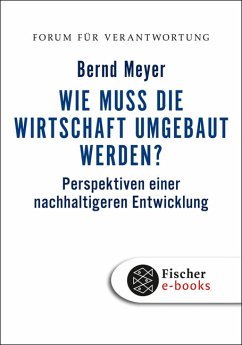 Wie muss die Wirtschaft umgebaut werden? (eBook, ePUB) - Meyer, Bernd