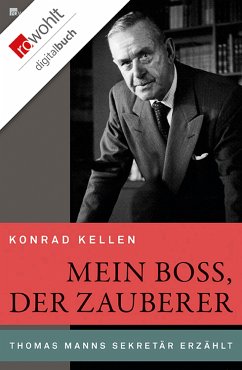 Mein Boss, der Zauberer (eBook, ePUB) - Kellen, Konrad