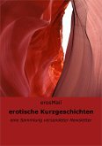 erotische Kurzgeschichten (eBook, ePUB)
