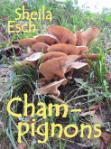 Champignons (eBook, ePUB)