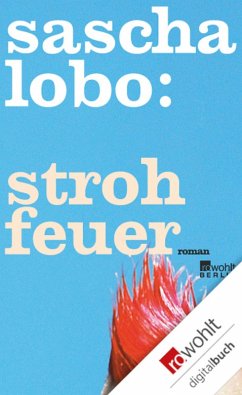 Strohfeuer (eBook, ePUB) - Lobo, Sascha