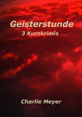 Geisterstunde (eBook, ePUB)