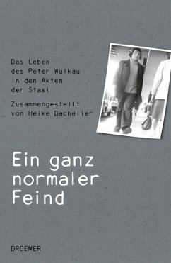 Ein ganz normaler Feind (eBook, ePUB) - Bachelier, Heike; Wulkau, Peter