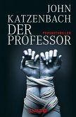 Der Professor (eBook, ePUB)