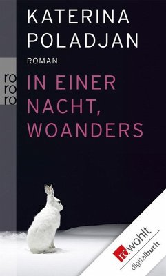 In einer Nacht, woanders (eBook, ePUB) - Poladjan, Katerina