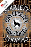 Das Ende der Geschichten (eBook, ePUB)