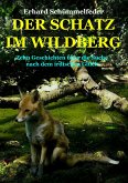 DER SCHATZ IM WILDBERG (eBook, ePUB)