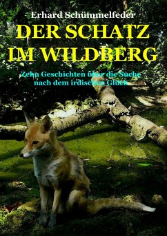 DER SCHATZ IM WILDBERG (eBook, ePUB) - Schümmelfeder, Erhard