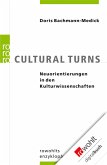 Cultural Turns (eBook, ePUB)
