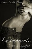 Lustmomente (eBook, ePUB)