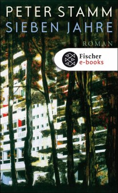 Sieben Jahre (eBook, ePUB) - Stamm, Peter