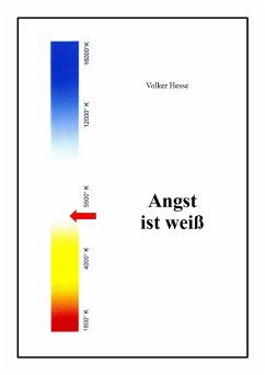 Angst ist weiß (eBook, ePUB) - Hesse, Volker