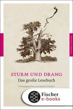 Sturm und Drang (eBook, ePUB)