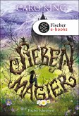 Sieben Magier (eBook, ePUB)