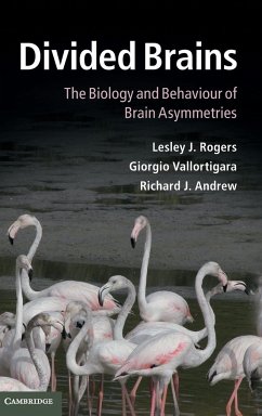 Divided Brains - Rogers, Lesley J.; Vallortigara, Giorgio; Andrew, Richard J.