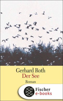 Der See (eBook, ePUB) - Roth, Gerhard