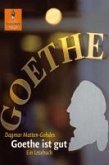 Goethe ist gut (eBook, ePUB)