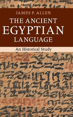 The Ancient Egyptian Language - Allen, James P.