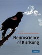 Neuroscience of Birdsong - Bild 1