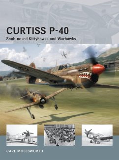 Curtiss P-40 - Molesworth, Carl