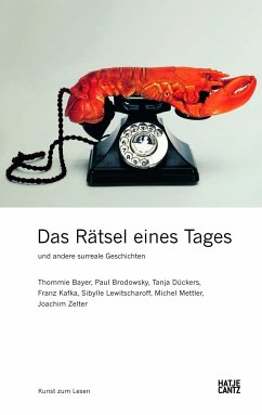 Das Rätsel eines Tages und andere surreale Geschichten (eBook, ePUB) - Bayer, Thommie; Brodowsky, Paul; Dückers, Tanja; Kafka, Franz; Lewitscharoff, Sibylle; Mettler, Michel; Zelter, Joachim