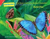 How Does a Caterpillar Become a Butterfly?