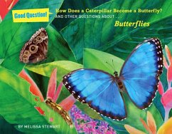 How Does a Caterpillar Become a Butterfly? - Stewart, Melissa