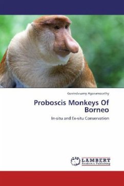 Proboscis Monkeys Of Borneo