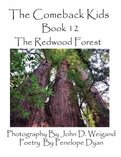 The Comeback Kids, Book 12, the Redwood Forest - Dyan, Penelope