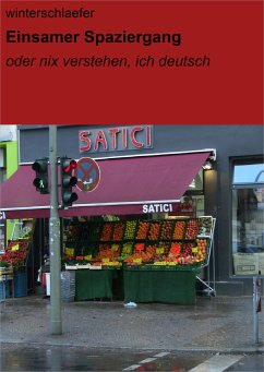 Einsamer Spaziergang (eBook, ePUB) - winterschlaefer, null