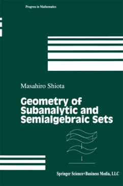 Geometry of Subanalytic and Semialgebraic Sets - Shiota, Masahiro