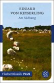 Am Südhang (eBook, ePUB)