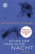 Sturz der Tage in die Nacht (eBook,... - Bild 1