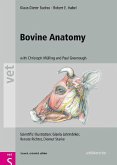 Bovine Anatomy (eBook, PDF)