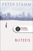 Blitzeis (eBook, ePUB)