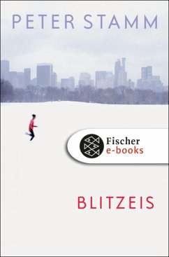 Blitzeis (eBook, ePUB) - Stamm, Peter