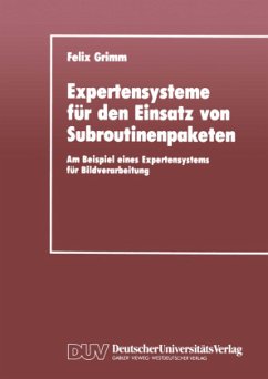 Expertensysteme für den Einsatz von Subroutinenpaketen - Grimm, Felix