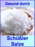 Gesund durch Schüßler Salze (eBook, ePUB)