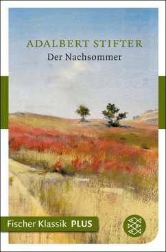 Der Nachsommer (eBook, ePUB) - Stifter, Adalbert