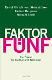 Faktor Fünf (eBook, ePUB)