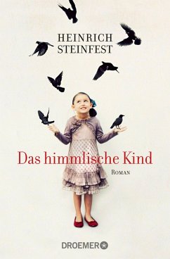 Das himmlische Kind (eBook, ePUB) - Steinfest, Heinrich