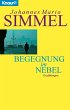 Begegnung im Nebel (eBook, ePUB) - Bild 1