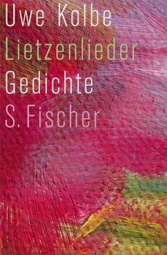Lietzenlieder (eBook, ePUB) - Kolbe, Uwe