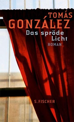 Das spröde Licht (eBook, ePUB) - González, Tomás