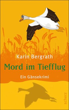 Mord im Tiefflug / Tom & Rio Bd.2 (eBook, ePUB) - Bergrath, Karin