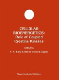 Cellular Bioenergetics: Role of Coupled Creatine Kinases