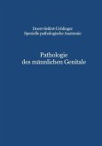 Pathologie des männlichen Genitale