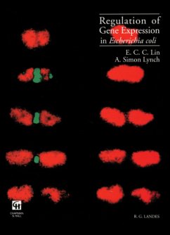 Regulation of Gene Expression in Escherichia coli - Lin, E. C. C.;Lynch, A. Simon