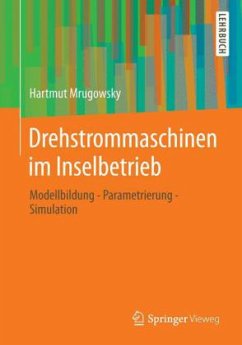 Drehstrommaschinen im Inselbetrieb - Mrugowsky, Hartmut