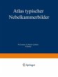 Atlas typischer Nebelkammerbilder - Bild 1